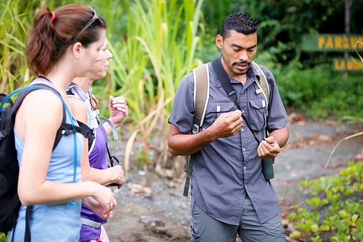 2 Day Private Adventure in Corcovado Mermaid Natural Park