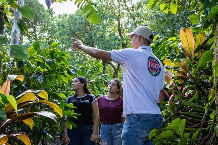 El Pueblo Coffee Tour Monteverde