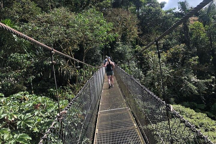 2-Hour Private Místico Hanging Bridges Naturalist Walk
