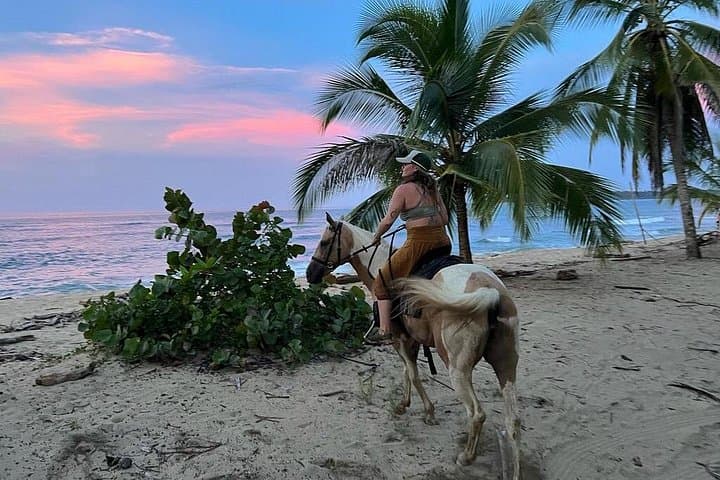 2 Hour Beach Horse Back Riding in Puerto Viejo