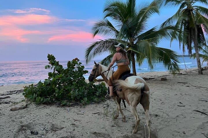 2 Hour Beach Horse Back Riding in Puerto Viejo