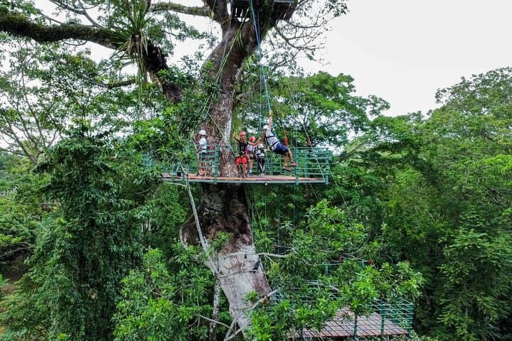 Vertical Multiadventure Park - Giant Trees