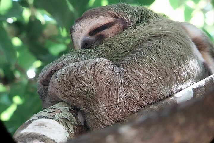 Manuel Antonio National Park guided tour