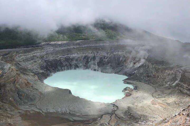 Poas Volcano, Local Coffee Farm and Birdwatching from San José