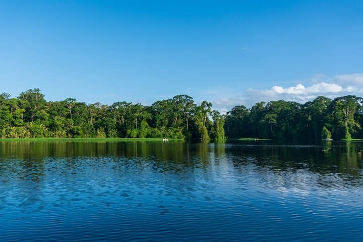 Tortuguero : Tour canoe + Tour Cerro + Tour Trails