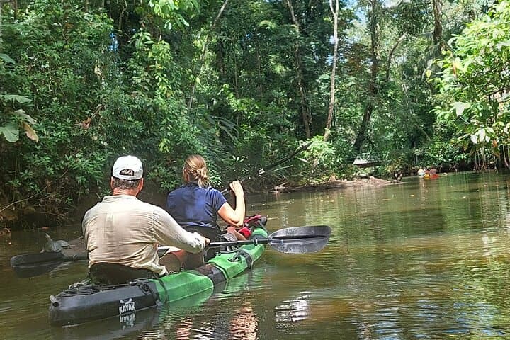 Guided Kayaking Tour to Punta Uva River with Nature and Swimming