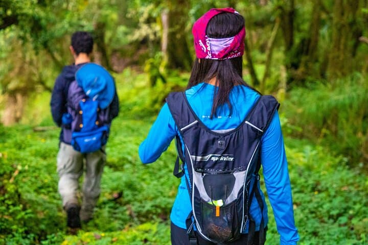 Day pass Iral Cloud Forest trails and lunch