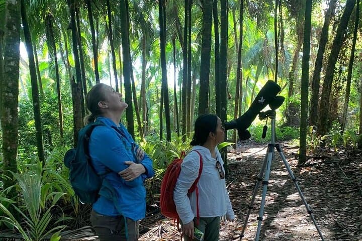 Nature and Bird Watching at Marino Ballena National Park