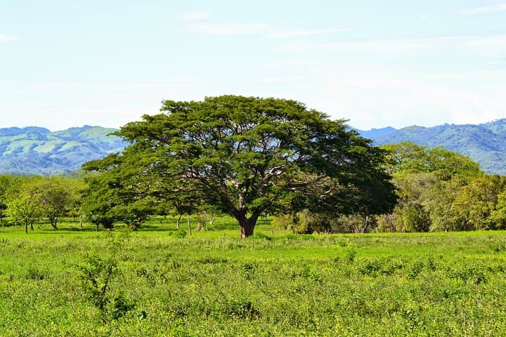 Private Transfer from Liberia Airport to JW Marriott Costa Elena