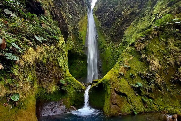 Bajos del Toro Waterfall Paradise: Hidden Gem Trek