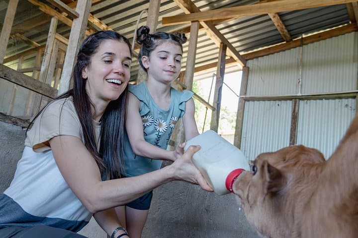 From Cow to Cheese: Authentic Farm & Cheese Tour in Monteverde