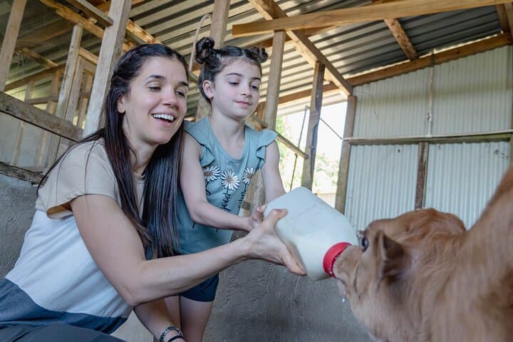 From Cow to Cheese: Authentic Farm & Cheese Tour in Monteverde