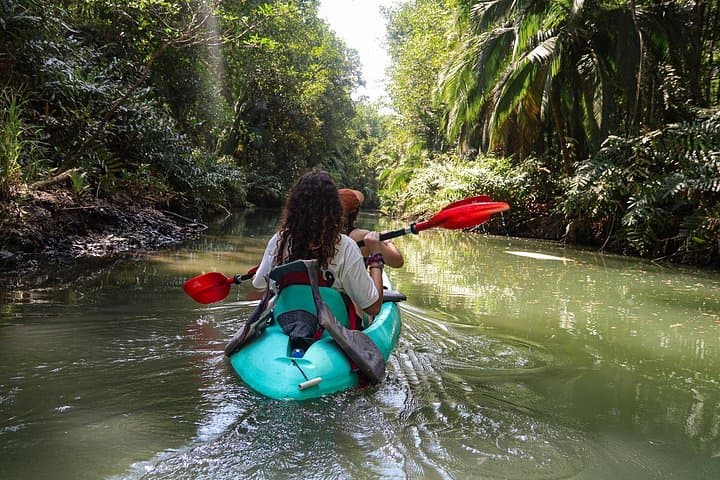 Mangrove Kayak Tour | Quepos & Manuel Antonio