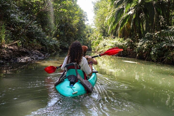 Mangrove Kayak Tour | Quepos & Manuel Antonio