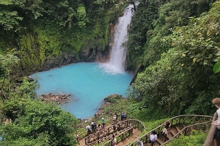 Río Celeste Waterfall & Sloth Seeking + Coffee & Chocolate Tour
