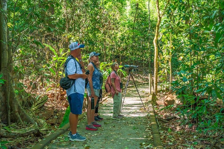 Carara National Park Guided Tour