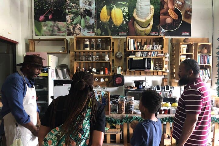 Limon: Small-Group Downtown Walking Tour with Local Guide