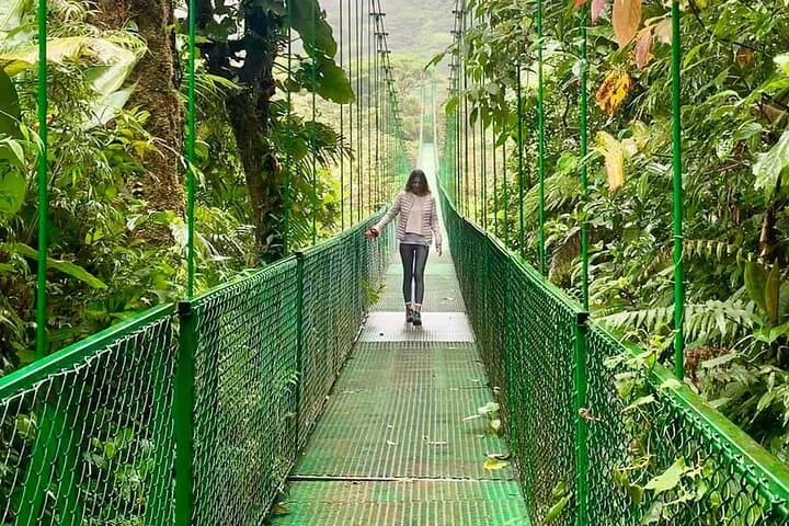 Monteverde Cloud Forest Suspension Bridges with Naturalist Guide