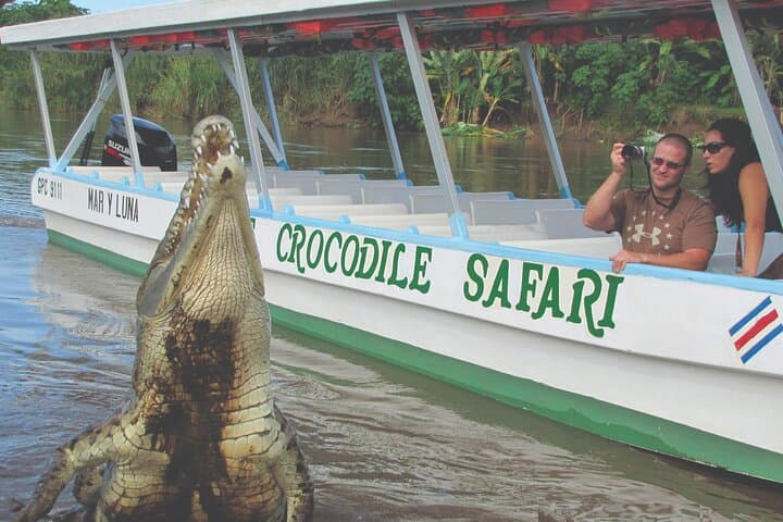 Crocodile Boat Tour & Carara Park. Private Tour