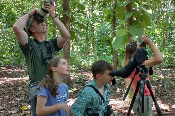 Guided tour in Carara National Park