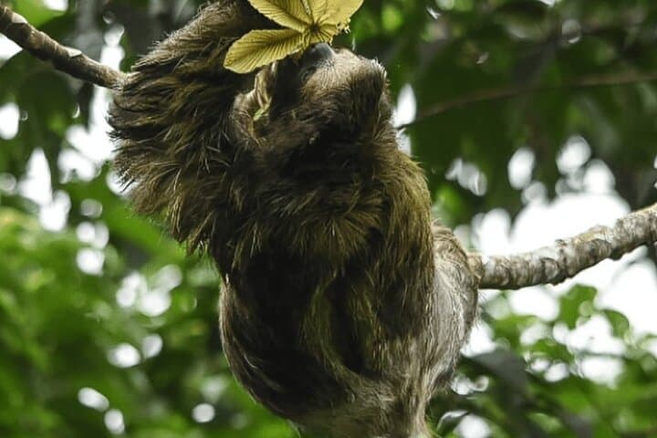 Manuel Antonio National Park *Group tour/Park ticket NOT included
