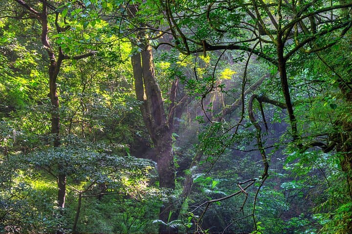 Diria National Park: Private Naturalist-Led Hiking Experience