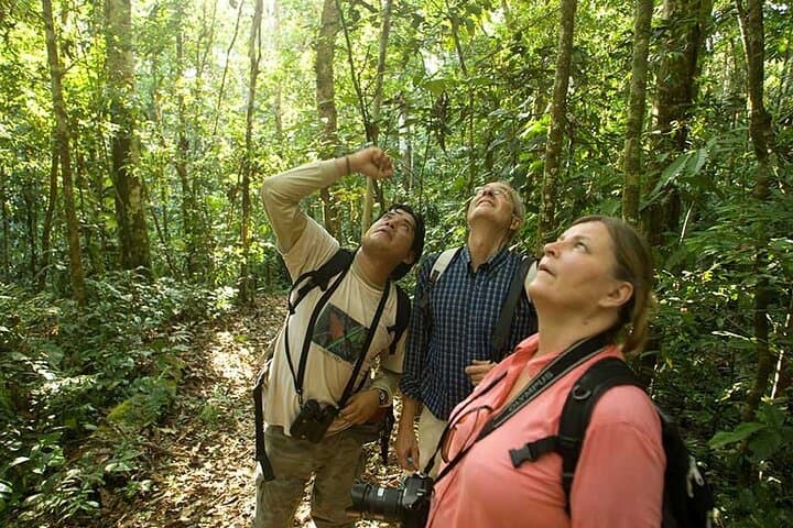 Amazing Sloth Sanctuary , waterfall and Coffee/Chocolate Tour
