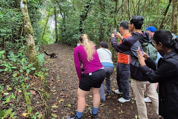 Cloud forest wonders guided tour