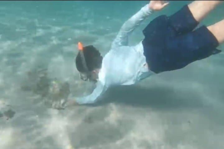 White Sand Beach Jaco Snorkel Adventure with Monkeys