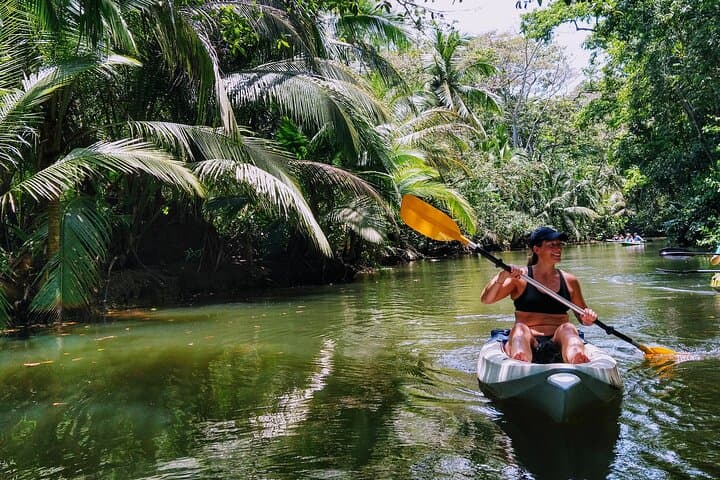 Punta Uva Wildlife Kayaking, Hike & Sloth Watching Tour