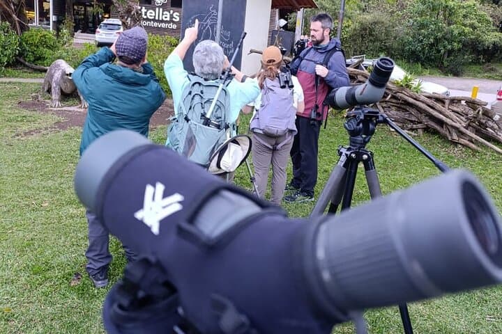 Monteverde Guided Eco Walk – Cloudforest Plants, Birds & Nature