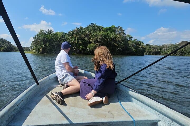 Gamboa Rainforest: Hike Trail, Boat Expedition & Optional Zipline