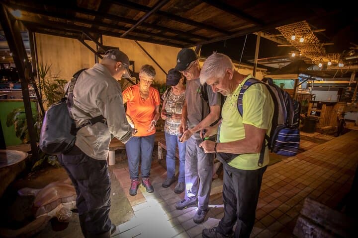 Seasonal Package of 3 Activities in Tortuguero with Breakfast