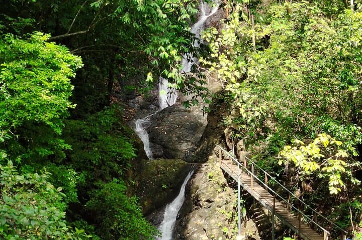 Jurassic Road, Hike 10 waterfalls in Jacó by Jorge