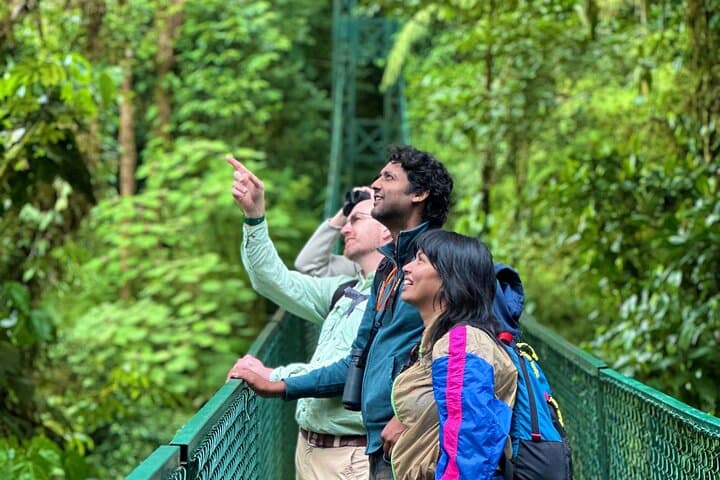 MONTEVERDE FROM ABOVE! Hanging Bridges PRIVATE GUIDE + BINOCULARS
