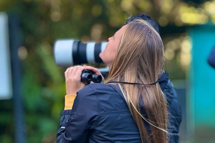 EXCLUSIVE CLOUD FOREST BIRDING + FREE Binoculars + hummingbirds