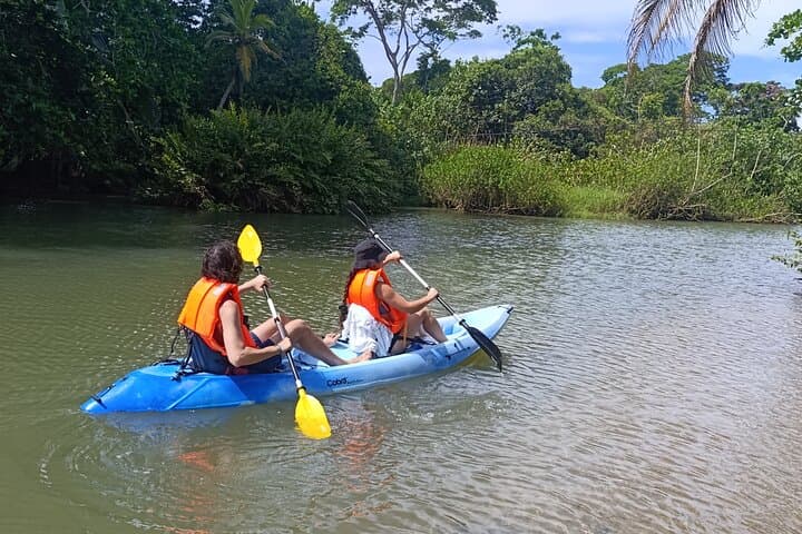 Punta Uva : Private Kayak, Wildlife & Tropical Fruit Experience
