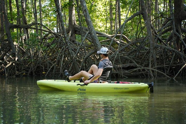 3-Hour Damas Mangrove Kayak Tour