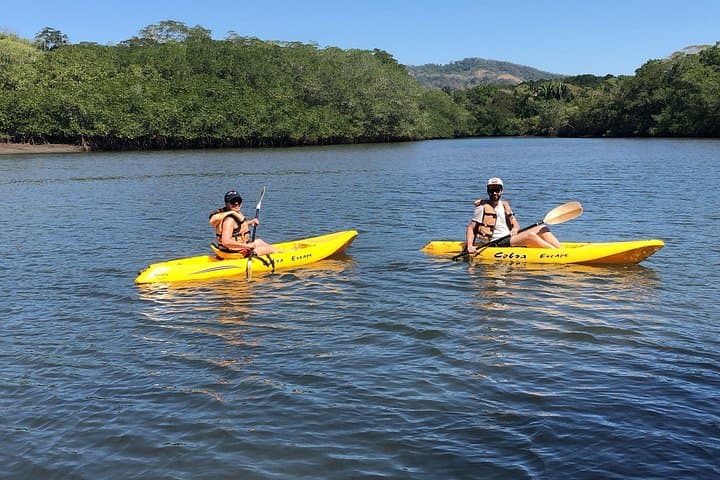 Kayak Tour of Curú's Mangrove and Bay Ecosystem