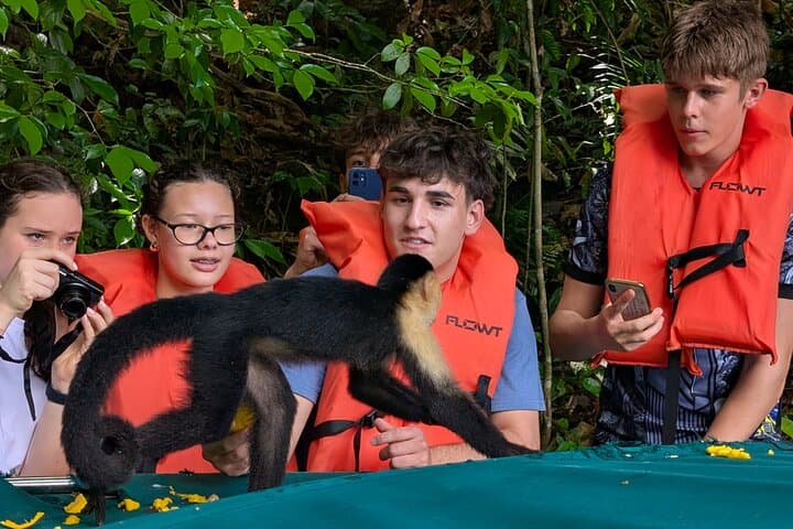 Panama Canal Boat Tour to Monkey Islands