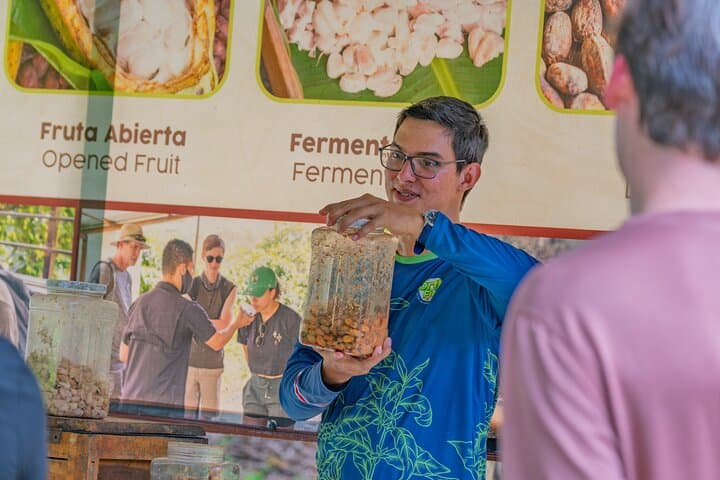 Tour en Español de Café y Chocolate North Fields