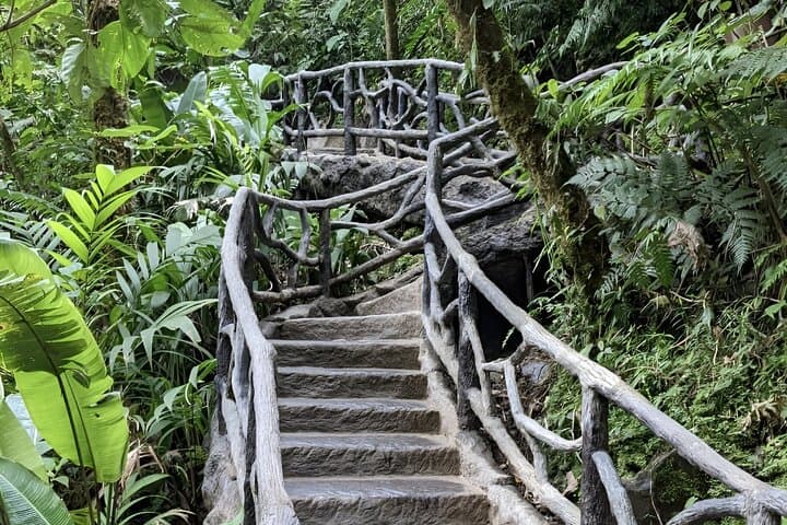 Private La Paz Waterfall Gardens & Starbucks Alsacia Coffee Tour
