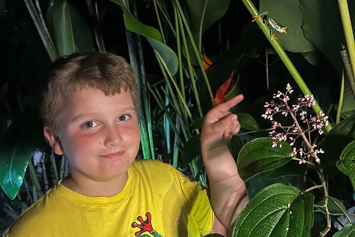 Nocturnal Creatures Night Walk in La Fortuna
