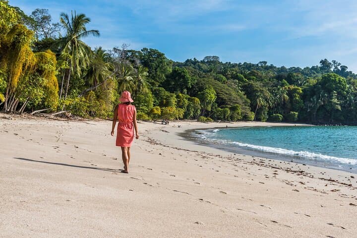 Manuel Antonio National Park Wildlife Tour