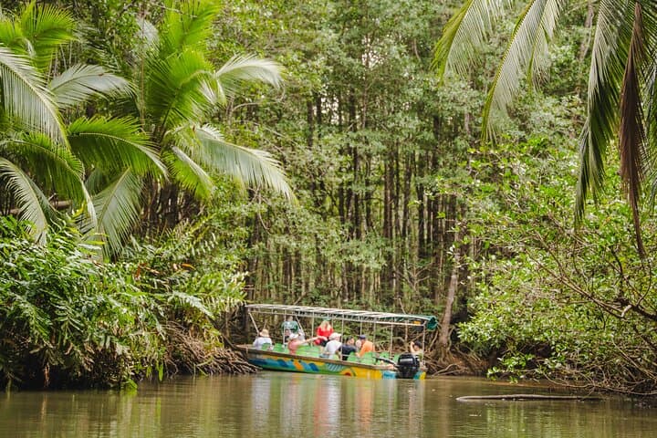 Mangrove Boat