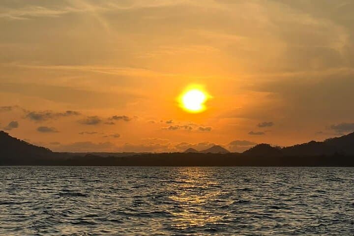 Tortuga Island Sunset and Bioluminescence Tour from Santa Teresa