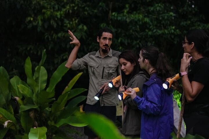 Combo Twilight Experience : Sloth Encounter, snack & Night Walk
