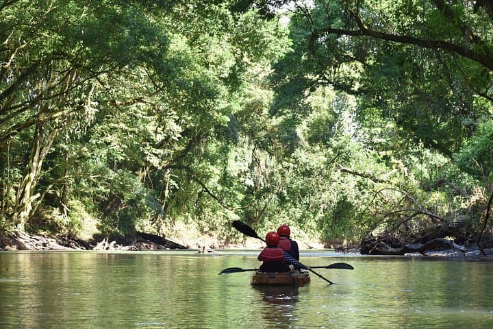 Peñas Blancas River: Top Wildlife Safari by Kayak