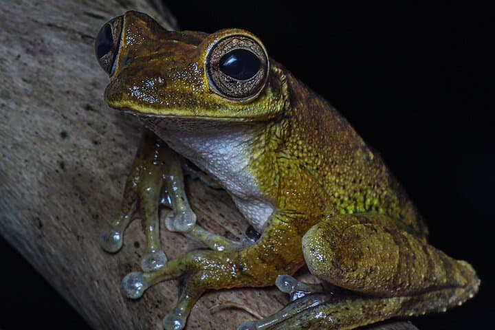 Finca Salamandra Jungle Tour