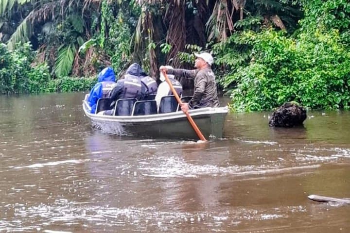 Canoe Tour: Flora and Fauna Observation in Tortuguero